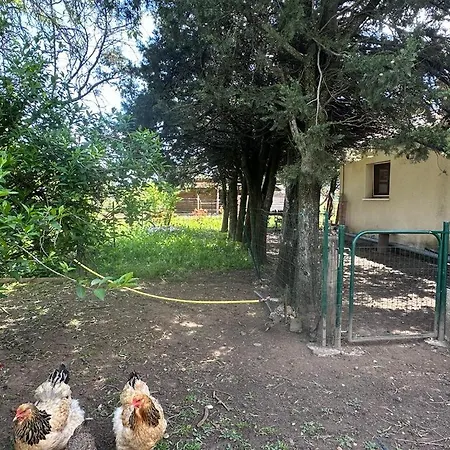 Maison Familiale Drome - Ardeche * Châteauneuf-du-Rhône